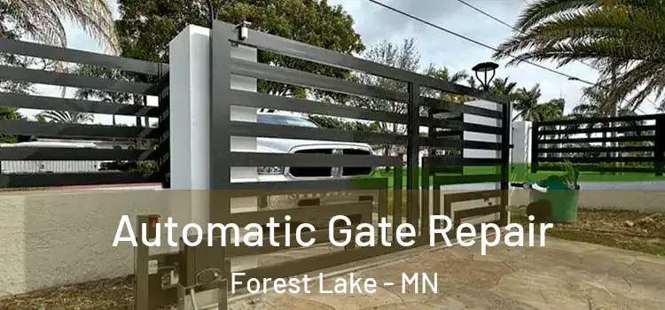 Automatic Gate Repair Forest Lake - MN
