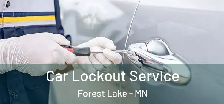 Car Lockout Service Forest Lake - MN