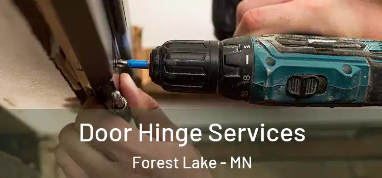 Door Hinge Services Forest Lake - MN