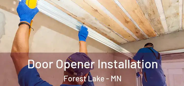 Door Opener Installation Forest Lake - MN
