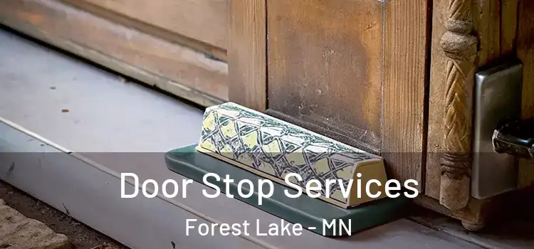 Door Stop Services Forest Lake - MN