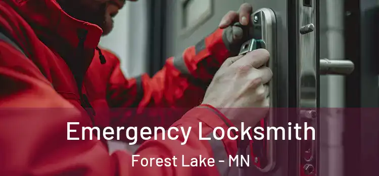 Emergency Locksmith Forest Lake - MN
