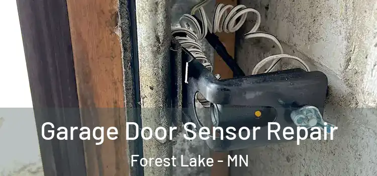 Garage Door Sensor Repair Forest Lake - MN