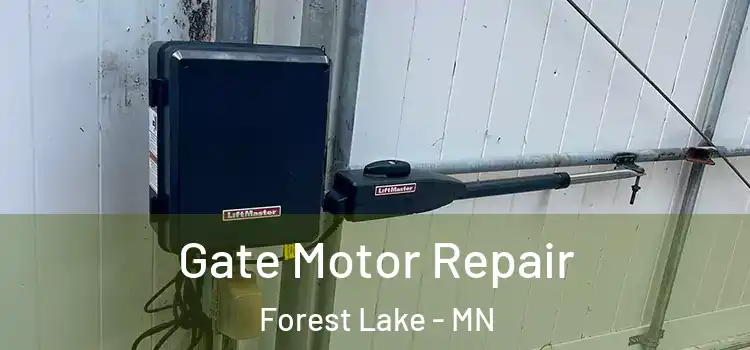 Gate Motor Repair Forest Lake - MN