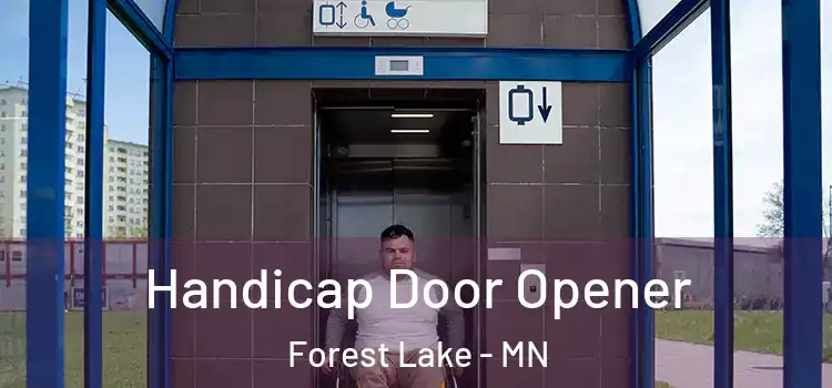  Handicap Door Opener Forest Lake - MN
