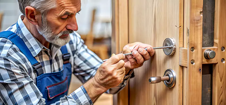 Mortise Replacement Lock Forest Lake