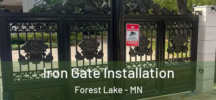 Iron Gate Installation Forest Lake - MN