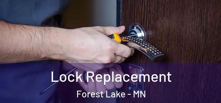 Lock Replacement Forest Lake - MN