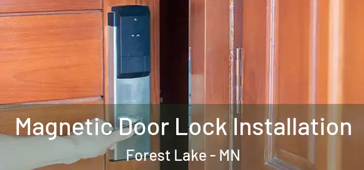 Magnetic Door Lock Installation Forest Lake - MN