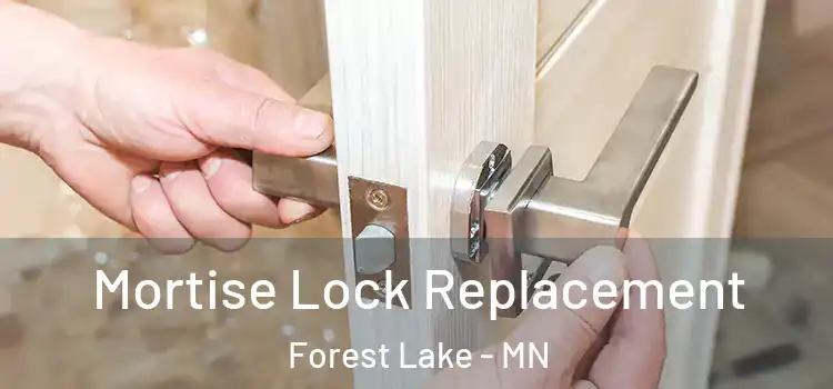 Mortise Lock Replacement Forest Lake - MN