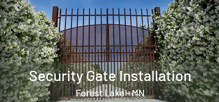 Security Gate Installation Forest Lake - MN