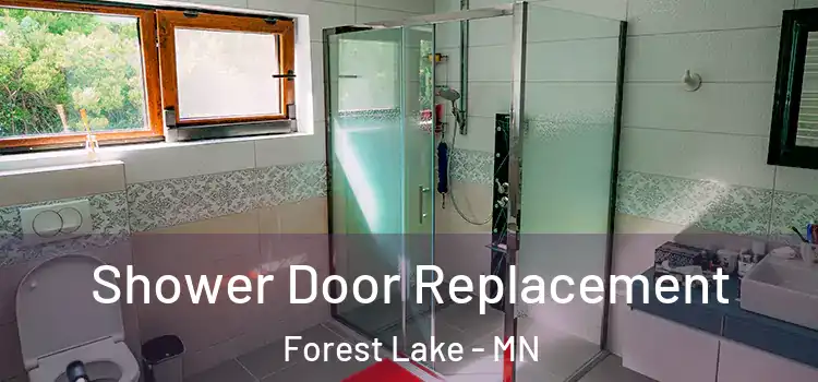 Shower Door Replacement Forest Lake - MN