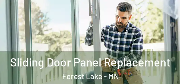  Sliding Door Panel Replacement Forest Lake - MN