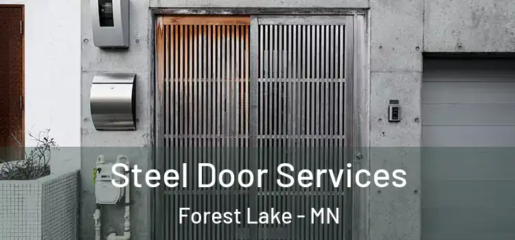  Steel Door Services Forest Lake - MN